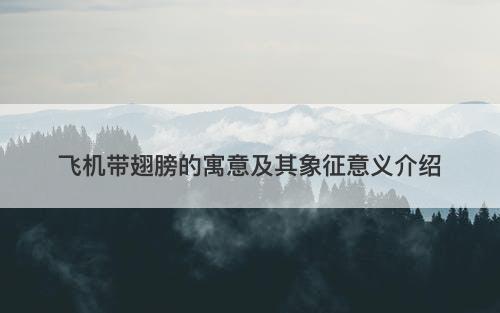 飞机带翅膀的寓意及其象征意义介绍