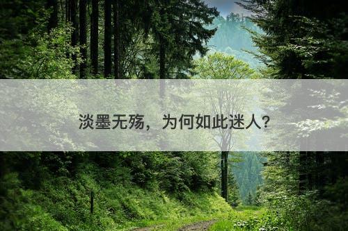 淡墨无殇,为何如此迷人?
