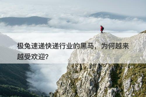 极兔速递快递行业的黑马,为何越来越受欢迎?