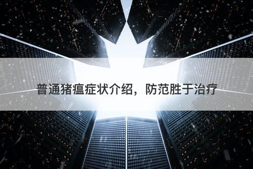 普通猪瘟症状介绍，防范胜于治疗