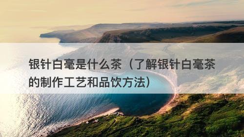 银针白毫是什么茶(了解银针白毫茶的制作工艺和品饮方法)