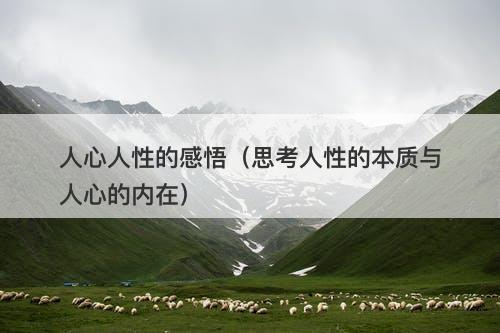人心人性的感悟（思考人性的本质与人心的内在）