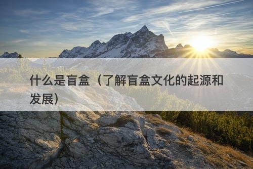什么是盲盒（了解盲盒文化的起源和发展）