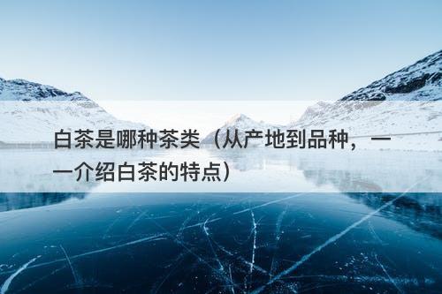 白茶是哪种茶类（从产地到品种，一一介绍白茶的特点）