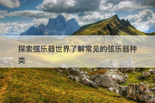 探索弦乐器世界了解常见的弦乐器种类