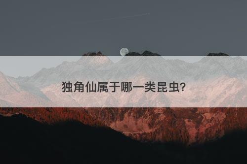 独角仙属于哪一类昆虫?