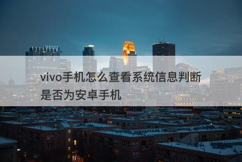 vivo手机怎么查看系统信息判断是否为安卓手机