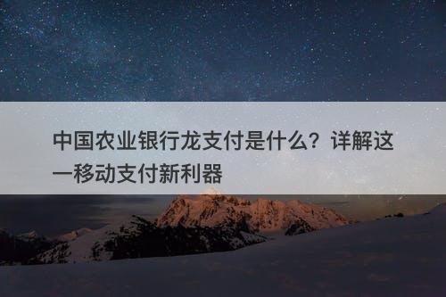 中国农业银行龙支付是什么？详解这一移动支付新利器