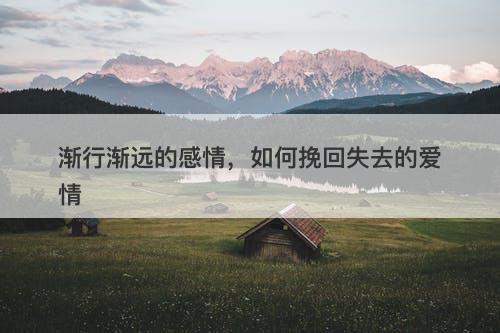 渐行渐远的感情,如何挽回失去的爱情