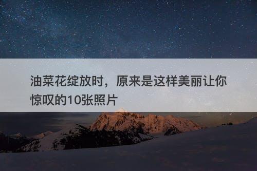 油菜花绽放时，原来是这样美丽让你惊叹的10张照片