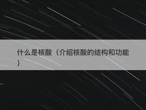 什么是核酸（介绍核酸的结构和功能）