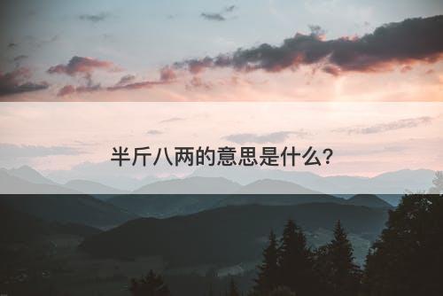 半斤八两的意思是什么？-图1