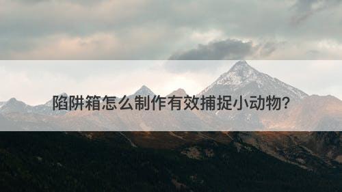 陷阱箱怎么制作有效捕捉小动物？