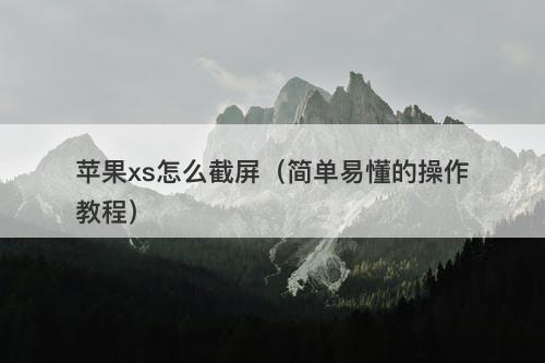 苹果xs怎么截屏（简单易懂的操作教程）-图1