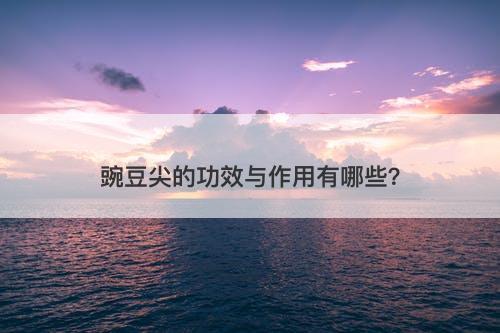 豌豆尖的功效与作用有哪些?