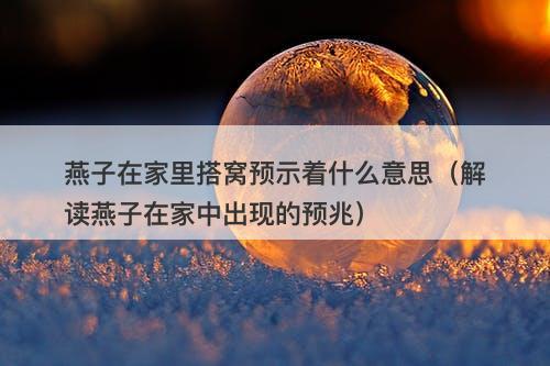 燕子在家里搭窝预示着什么意思(解读燕子在家中出现的预兆)
