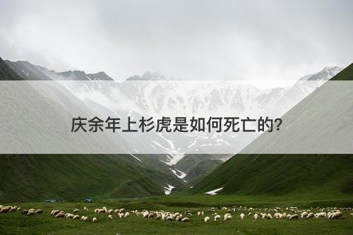 庆余年上杉虎是如何死亡的？