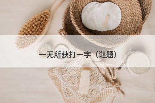 一无所获打一字（谜题）