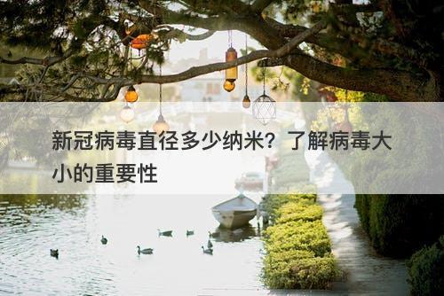 新冠病毒直径多少纳米？了解病毒大小的重要性