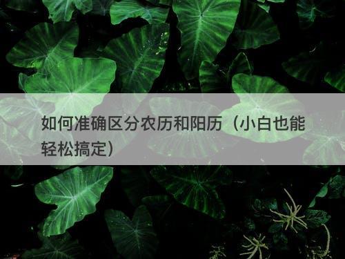 如何准确区分农历和阳历（小白也能轻松搞定）