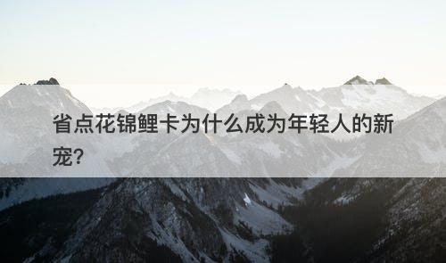省点花锦鲤卡为什么成为年轻人的新宠？