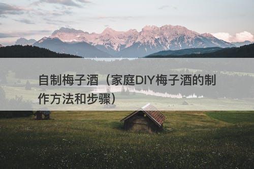 自制梅子酒(家庭DIY梅子酒的制作方法和步骤)
