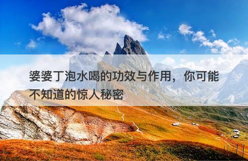 婆婆丁泡水喝的功效与作用,你可能不知道的惊人秘密
