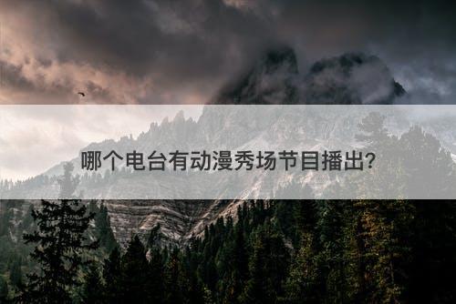 哪个电台有动漫秀场节目播出？