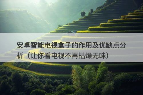 安卓智能电视盒子的作用及优缺点分析(让你看电视不再枯燥无味)