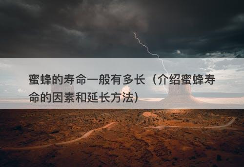蜜蜂的寿命一般有多长（介绍蜜蜂寿命的因素和延长方法）