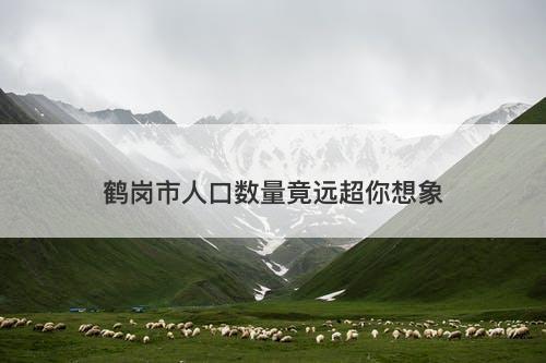 鹤岗市人口数量竟远超你想象-图1