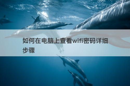 如何在电脑上查看wifi密码详细步骤
