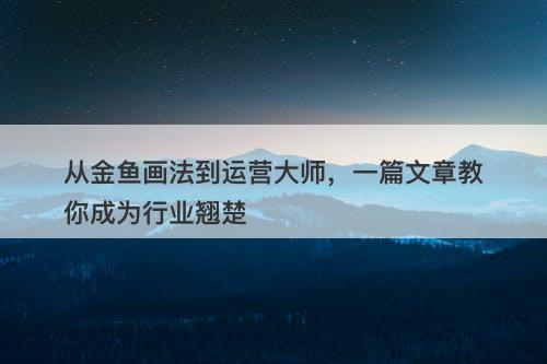 从金鱼画法到运营大师，一篇文章教你成为行业翘楚