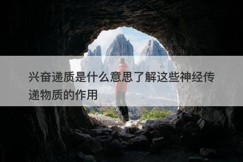 兴奋递质是什么意思了解这些神经传递物质的作用