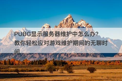PUBG显示服务器维护中怎么办？教你轻松应对游戏维护期间的无聊时间