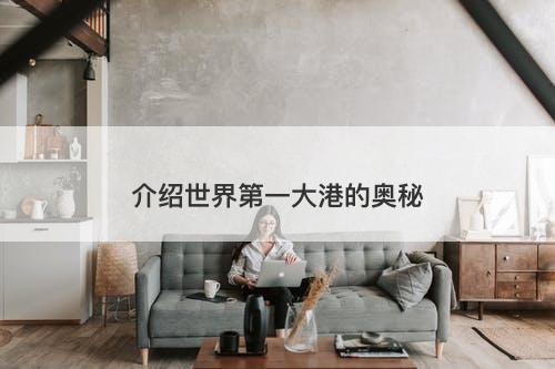 介绍世界第一大港的奥秘
