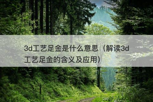 3d工艺足金是什么意思（解读3d工艺足金的含义及应用）