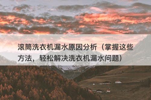 滚筒洗衣机漏水原因分析（掌握这些方法，轻松解决洗衣机漏水问题）