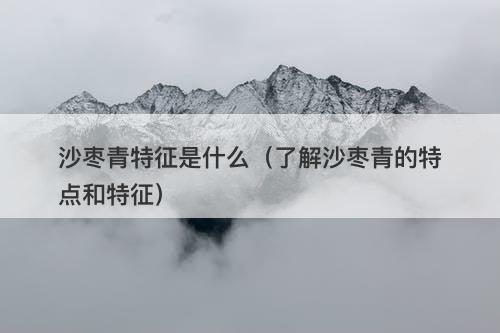 沙枣青特征是什么（了解沙枣青的特点和特征）-图1