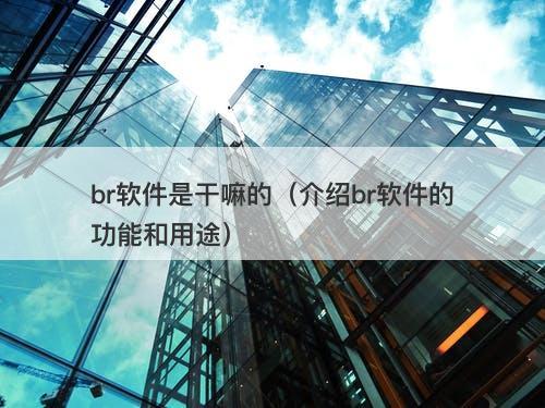 br软件是干嘛的（介绍br软件的功能和用途）