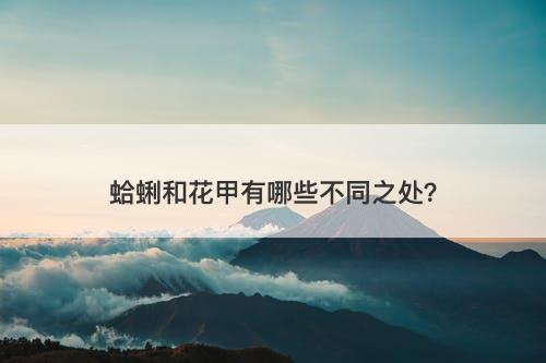 蛤蜊和花甲有哪些不同之处？