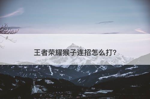 王者荣耀猴子连招怎么打？