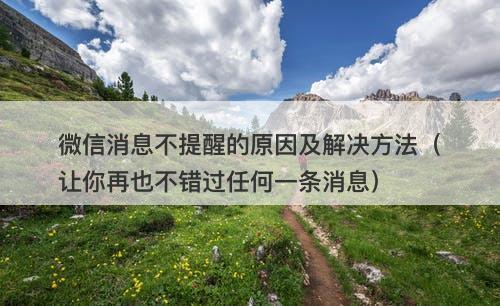 微信消息不提醒的原因及解决方法（让你再也不错过任何一条消息）