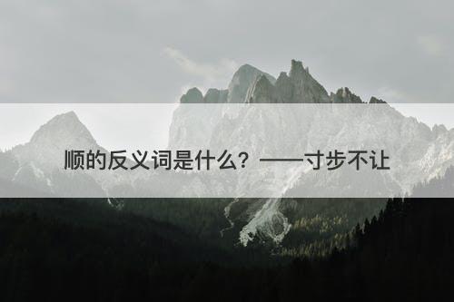 顺的反义词是什么？——寸步不让