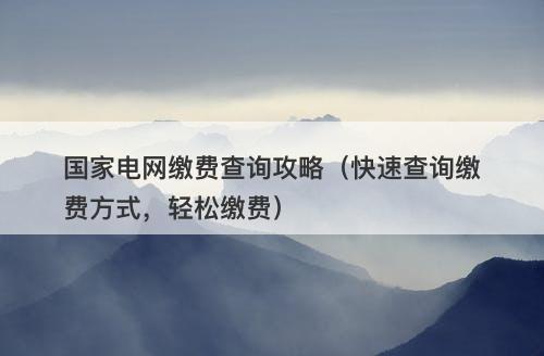 国家电网缴费查询攻略（快速查询缴费方式，轻松缴费）