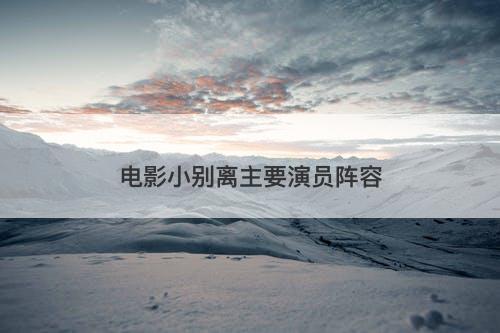 电影小别离主要演员阵容