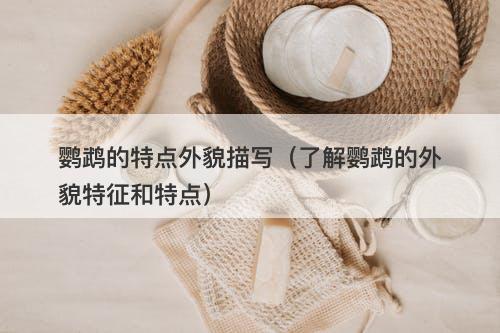 鹦鹉的特点外貌描写（了解鹦鹉的外貌特征和特点）