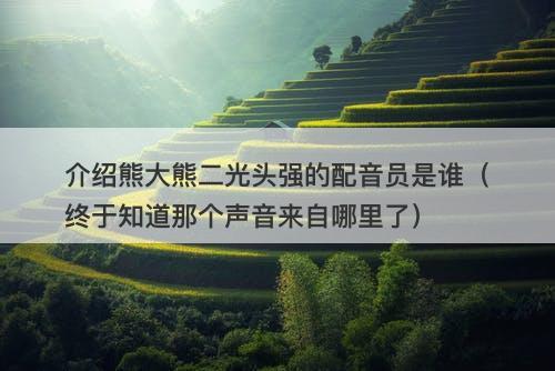 介绍熊大熊二光头强的配音员是谁（终于知道那个声音来自哪里了）