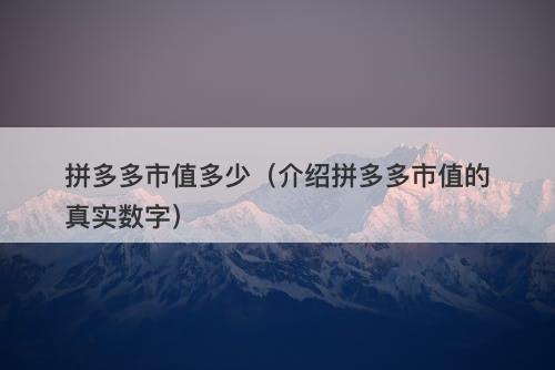 拼多多市值多少（介绍拼多多市值的真实数字）