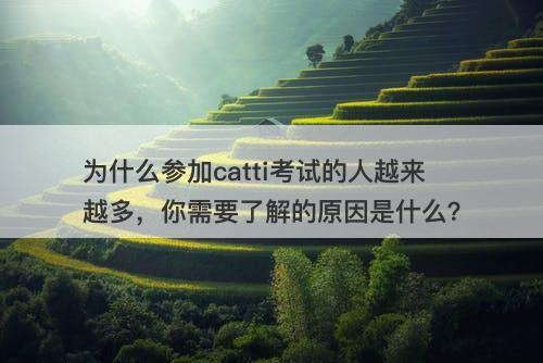为什么参加catti考试的人越来越多，你需要了解的原因是什么？